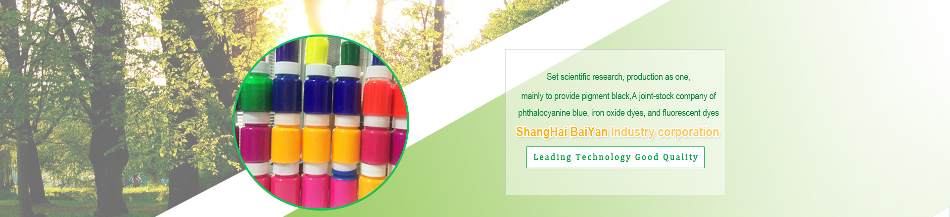 Shanghai Baiyan Industrial Co.,Ltd.